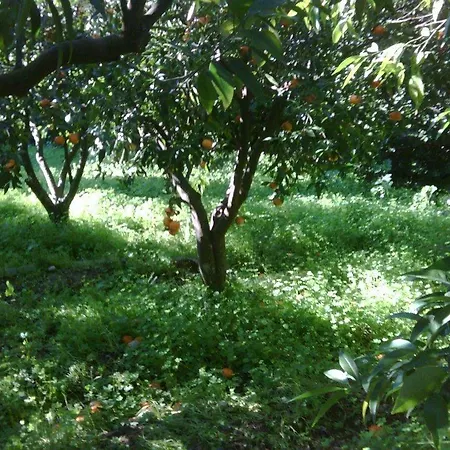 Pansiyon Koyunbaba *