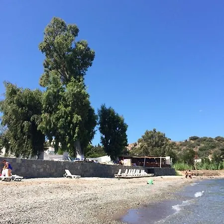 Koyunbaba